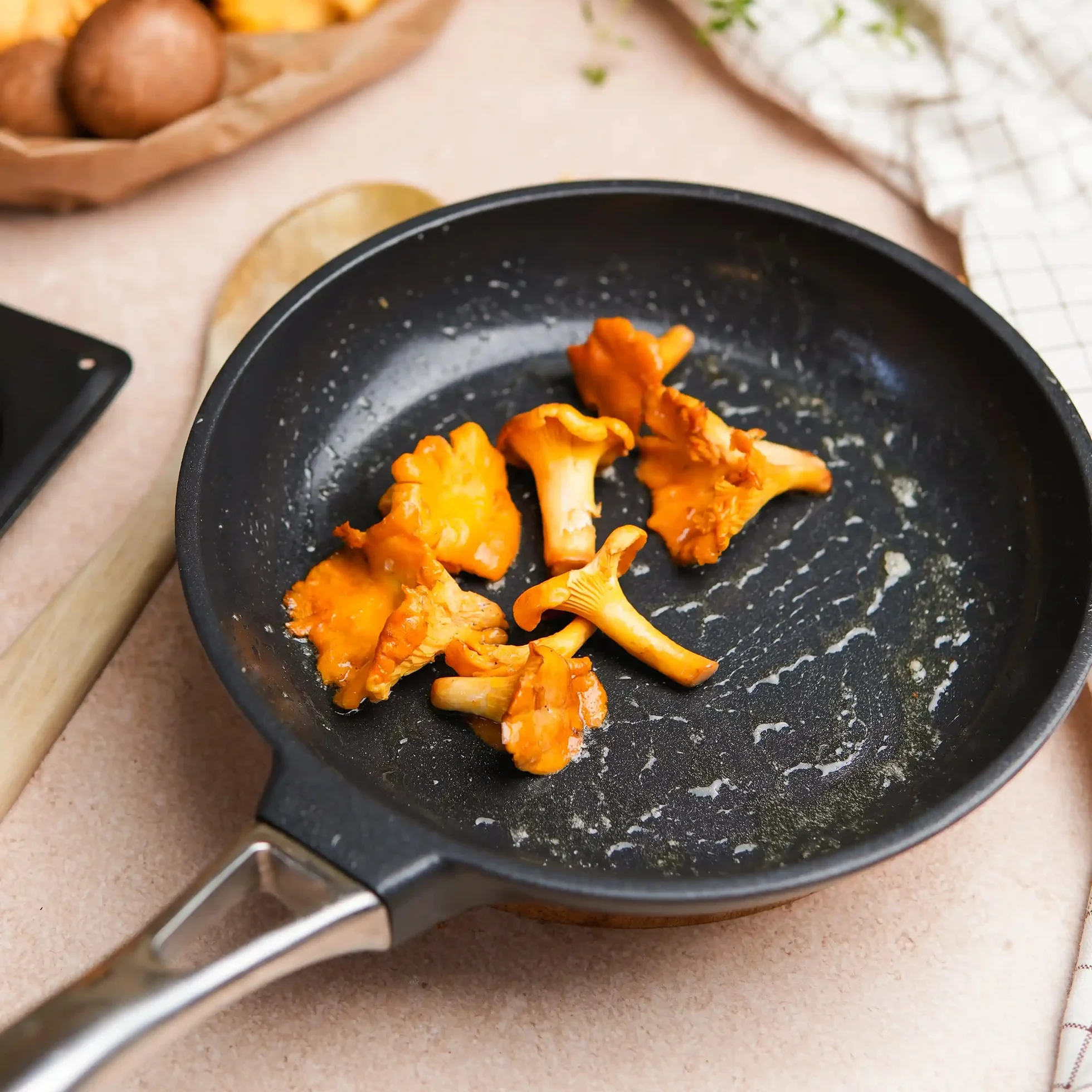 onepan-20-kantareller