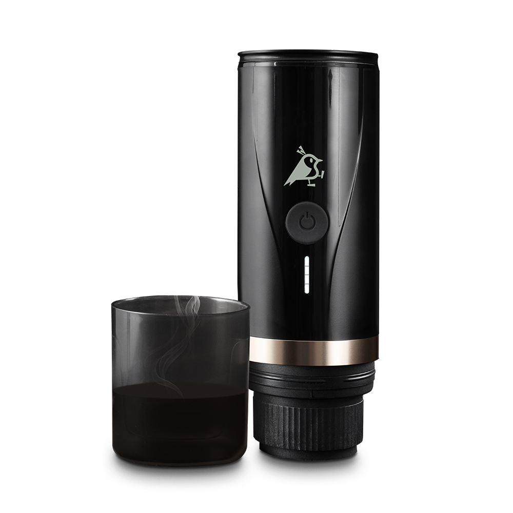 Aqiila Coffeebird2